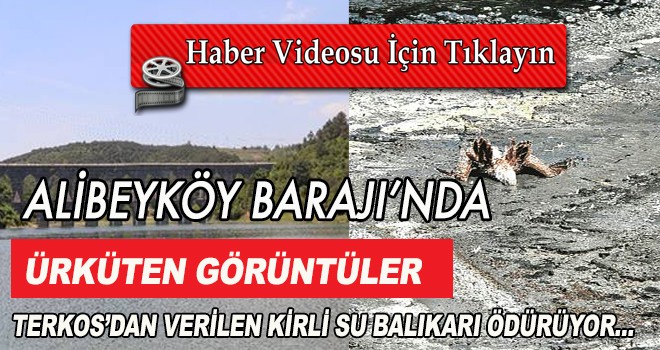 ALİBEYKÖY BARAJI’NDA ÜRKÜTEN GÖRÜNTÜLER