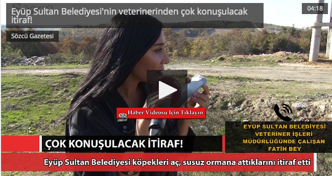 Eyüp Sultan Belediyesi veterinerinden çok konuşulacak itiraf!