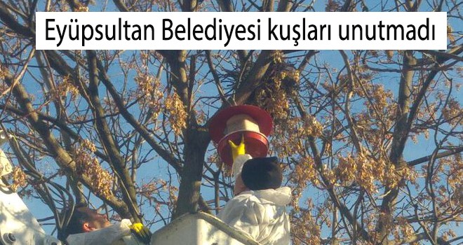 Eyüpsultan Belediyesi kuşları unutmadı