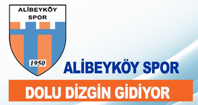 ALİBEYKÖY SPOR DOLU DİZGİN GİDİYOR