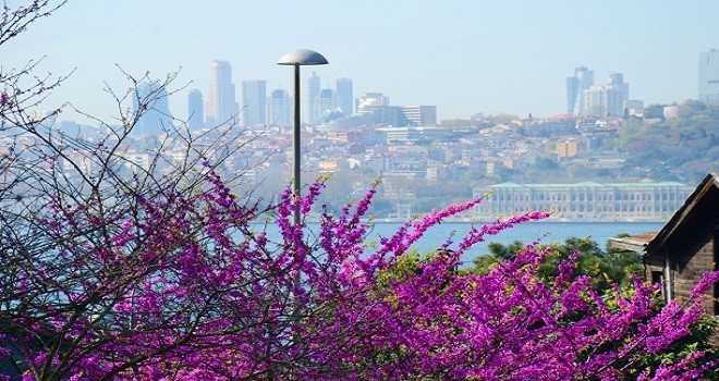 Bugün hava nasıl olacak?