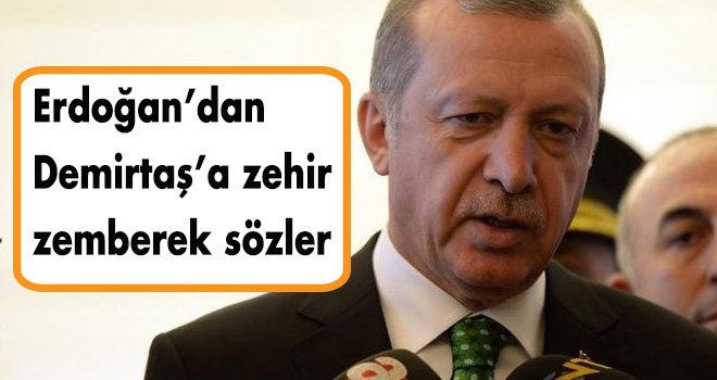 Erdoğan’dan Demirtaş’a zehir zemberek sözler