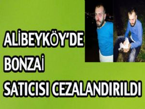 ALİBEYKÖY'DE BONZAİ SATICISI CEZALANDIRILDI