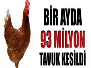 1 ayda 93 milyon tavuk kesildi