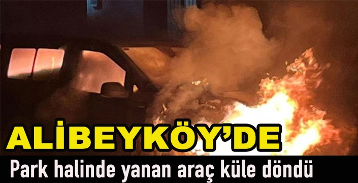 Alibeyköy'de park halindeki otomobil alev alev yandı