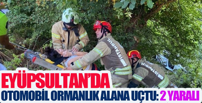 Eyüpsultan’da otomobil ormanlık alana uçtu: 2 yaralı