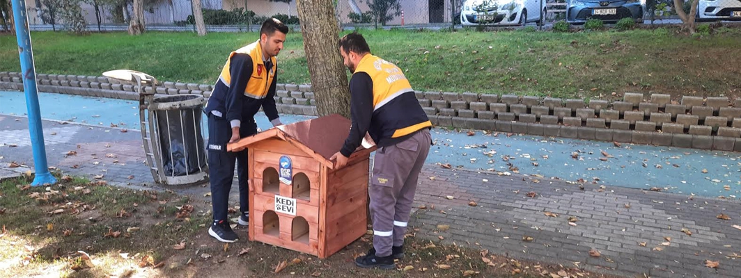 Patili dostlarımız sıcak yuvalarına kavuştu